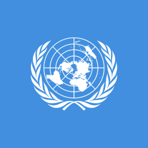Positionspapier UN-Abstimmungsverhalten